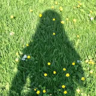 Andrea Desormeaux photo