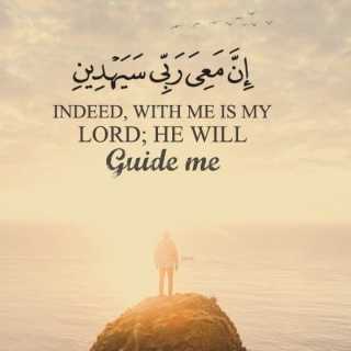 Charfeddine Ch photo