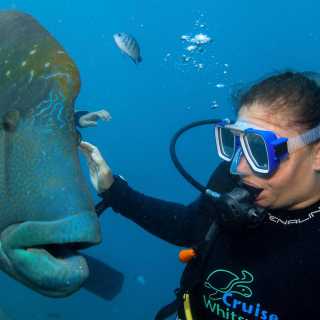 Gaga-dragica Staki photo