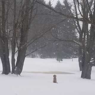 Yusuf Bulbulia photo