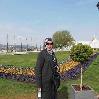 Maimon Mustapha photo