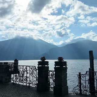 Anika Todorova photo