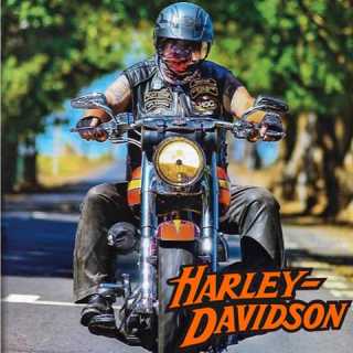 Pierre-Yves Roten photo