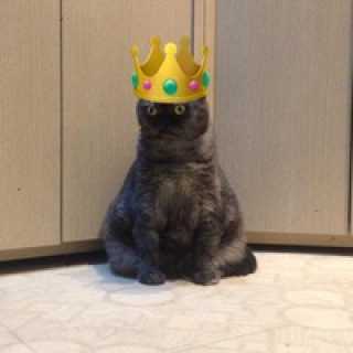 Кирилл Венгеров photo