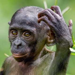 Сергей Урядников photo