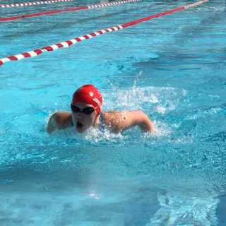 Paul Johannsen photo