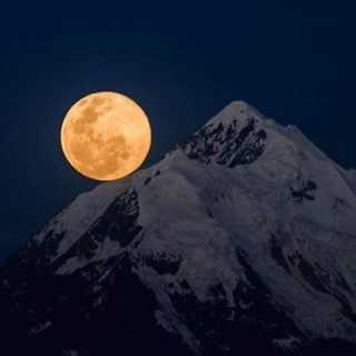 Nathalie Calenge photo