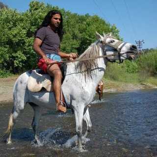 Oktay-Karakus Apache photo