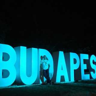 Tamas Gyurcsanszky photo