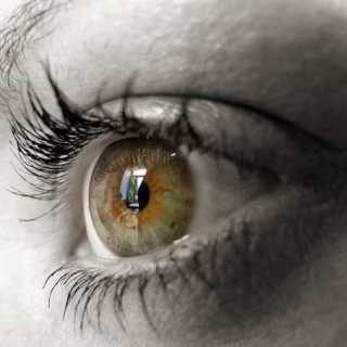 Jimena Gortari photo