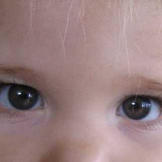 Sue-Ellen Cook photo