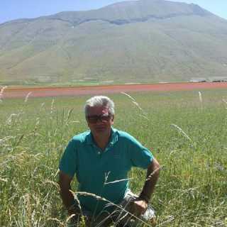 Paolo Aterelli photo