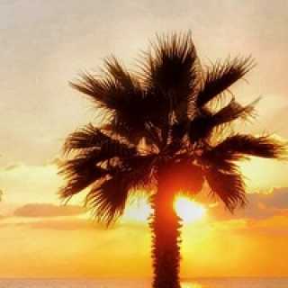 Aleksandra Velinskaya photo