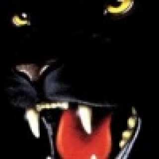 Husan Tursunov photo