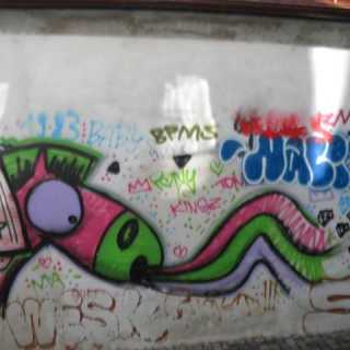 Nitnatsnoc Nats photo