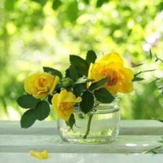 Юлия Владимировна photo