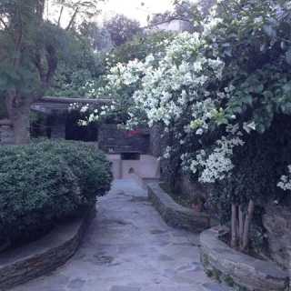 Konstantinos Galiasos photo