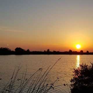 Алекс Пундев photo