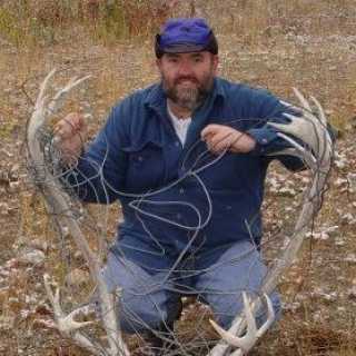 David Alexander photo