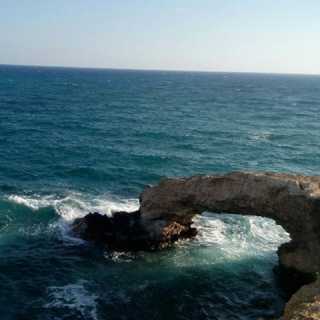 Вячеслав Ванюхин photo