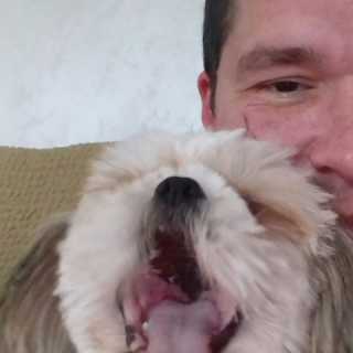 Nikola Mihajlov photo