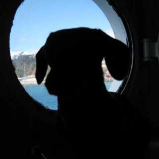 Jill-Marie Calitz photo