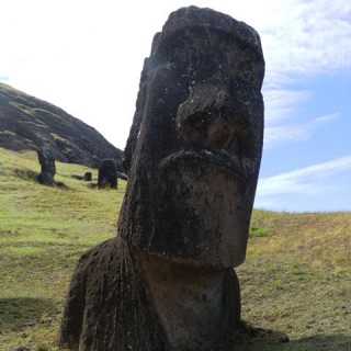 Dominic Ippers photo