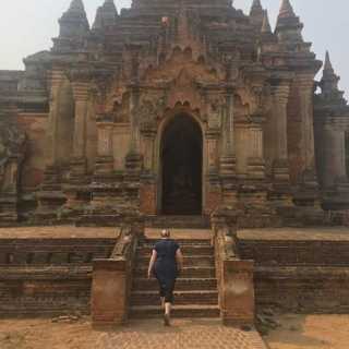 Melissa Sheaffer photo