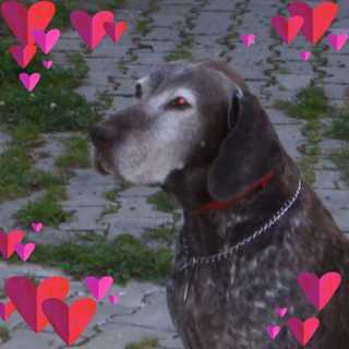 Eduard-i-Iuliana Sincofschi photo