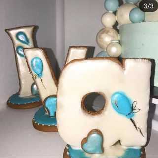 Olena Musievych Shetty photo