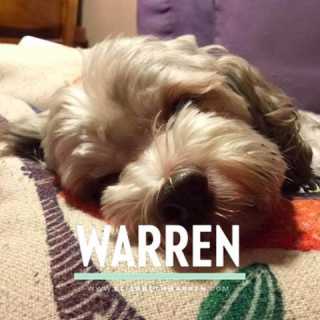 Claire Hellendag photo