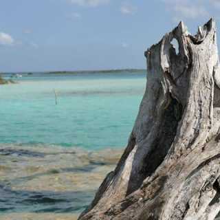 Elizabeth Villegas photo