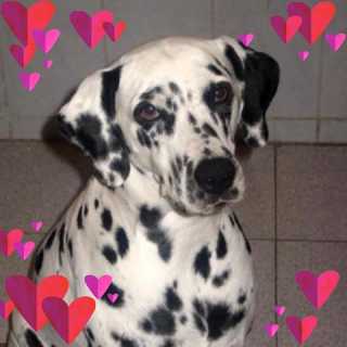 Brenda Velarde photo