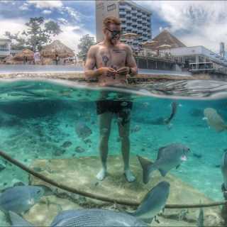 Dima Alexandru photo