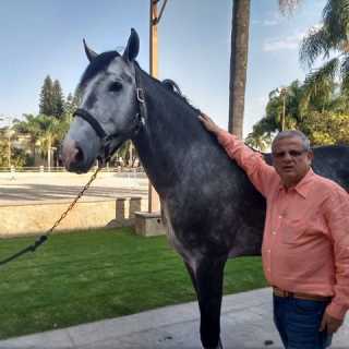 Emilio Toussaint-Gallardo photo