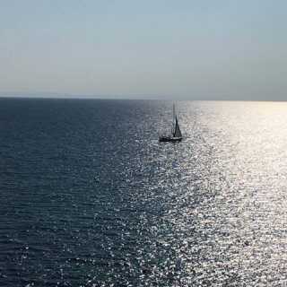 Toni Makedonski photo