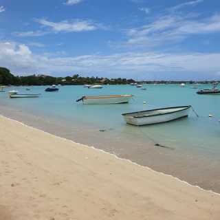 Biljana Labroska photo