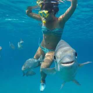 Laura Kosanovi photo