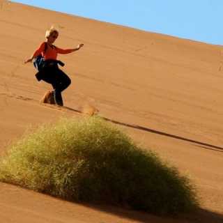 Cristina Taddeo photo