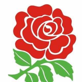 Kerstie Hannah photo