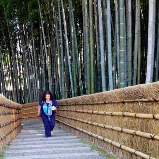 Elsa-Margarida Oliveira-Mesquita photo