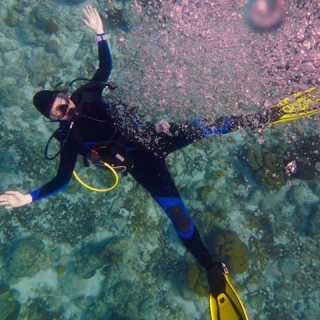 Sylvia Schaefer photo