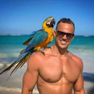 Zsombor Kulcsar photo