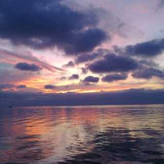 Robi Ostrovrsnik photo