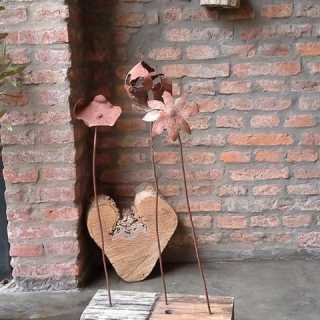 Monica-Pollice Stirling photo