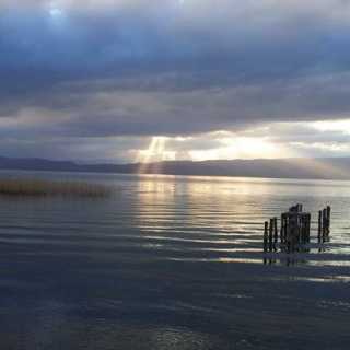 Rose-Marie Henny photo