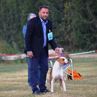 Thanasis Papapavlou-Jovolis