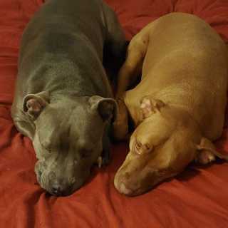 Karen Boardman-Matthews photo