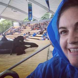 Sandra Sinovec photo