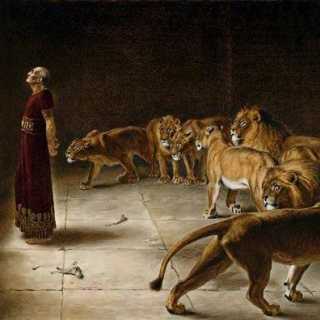 Jesus-Armando Tapia-Gallegos photo